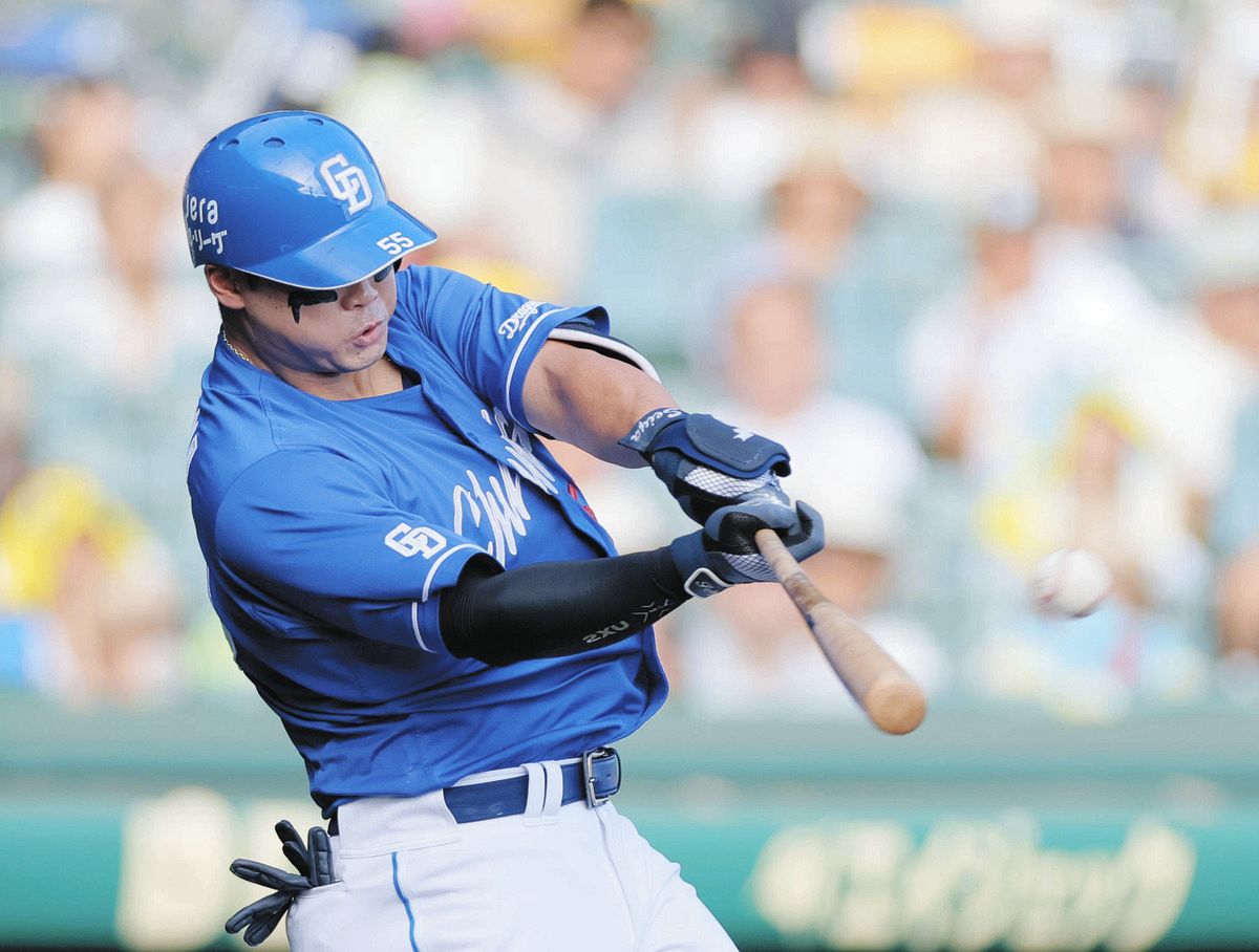 細川成也 選手 実使用 バット 支給品 野球 NPB 中日ドラゴンズ #55 細川 成也 選手 実使用NPBバット｜Yahoo