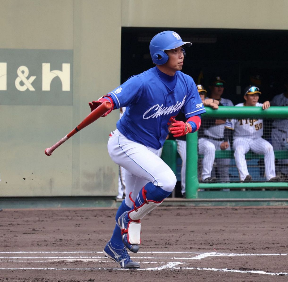 千葉ロッテマリーンズ　中日ドラゴンズ　加藤翔平　実使用バット　プロ野球 プロってすごい」元中日・加藤翔平さん、現役時代と変わらぬ美技で