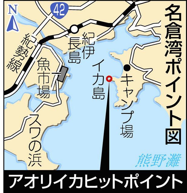 春アオリ３８センチ 三重 紀伊長島ボート 釣りニュース 中部 中スポ釣りナビ