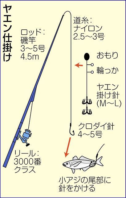 春アオリ３８センチ 三重 紀伊長島ボート 釣りニュース 中部 中スポ釣りナビ