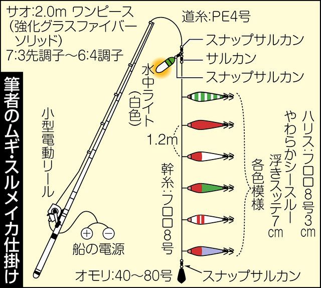 ムギ スルメ盛期 若狭湾 釣りニュース 中部 中スポ釣りナビ