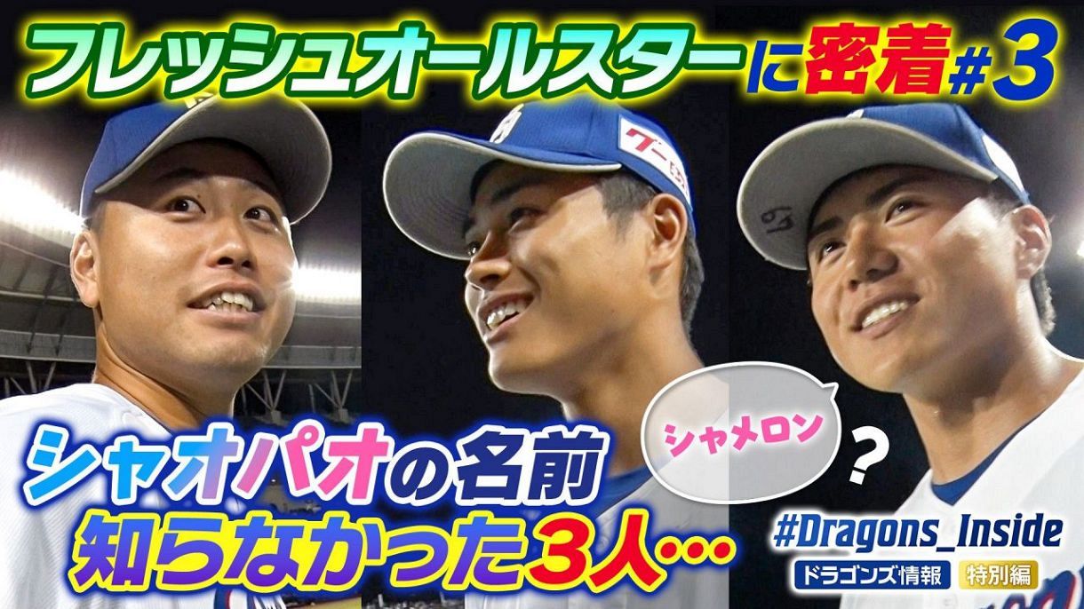 プロ 野球 中 日 ドラゴンズ